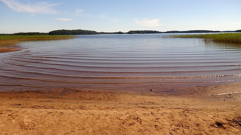 Färnebofjärden National Park