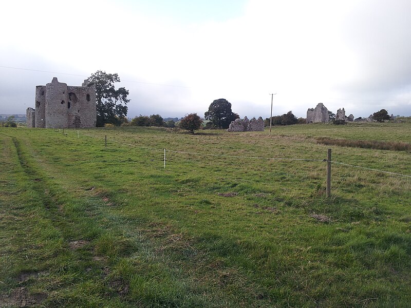 Ballyloughan Castle