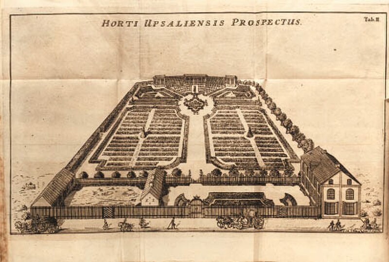 Linnaean Garden