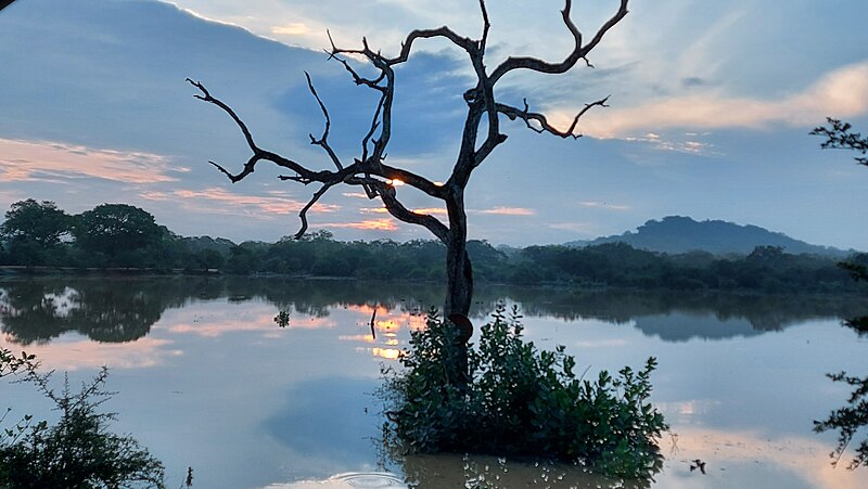 Yala National Park