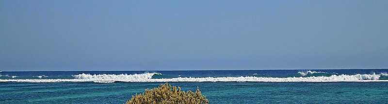 Ningaloo Reef