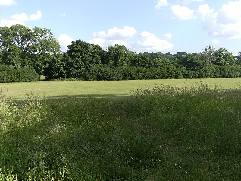 Hampstead Heath