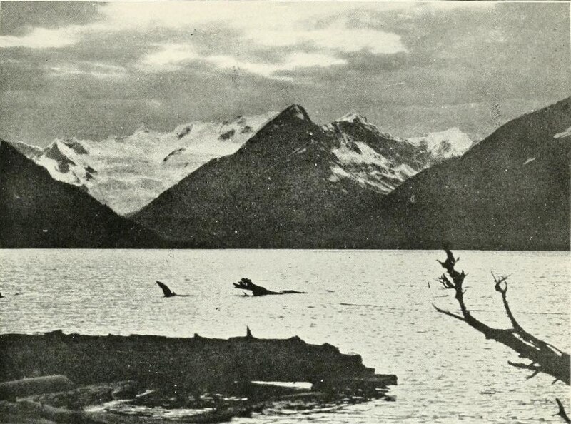 Hamber Provincial Park