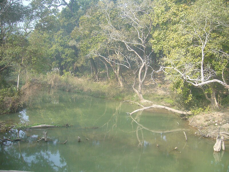 Shuklaphanta National Park