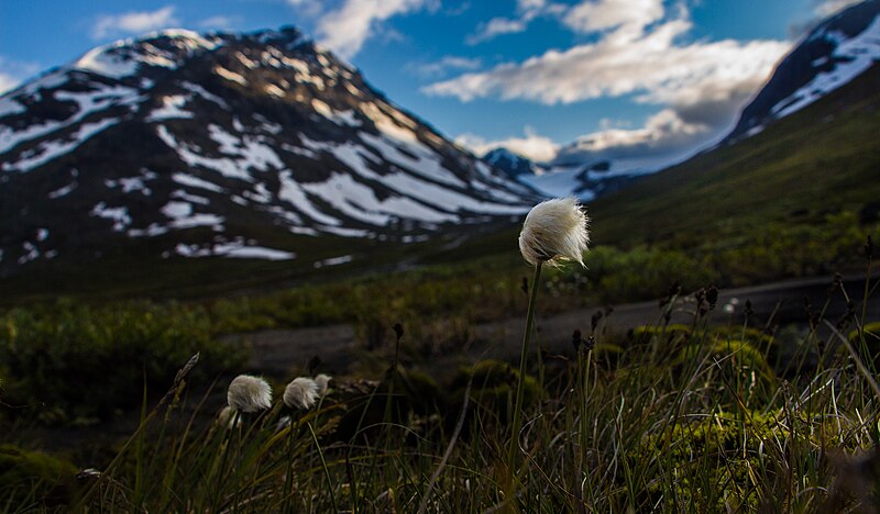 Jotunheimen National Park