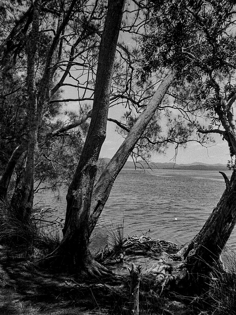 Myall Lakes National Park