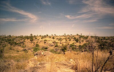 Australian Fossil Mammal Sites (Riversleigh / Naracoorte)