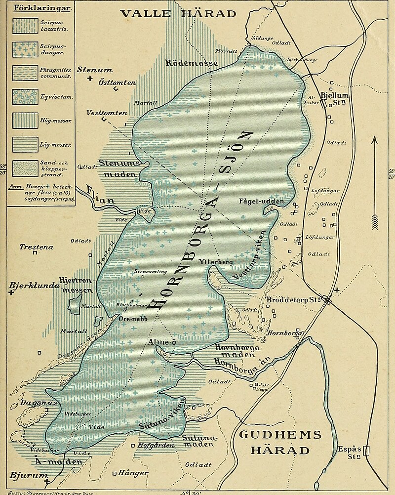 Lake Hornborga