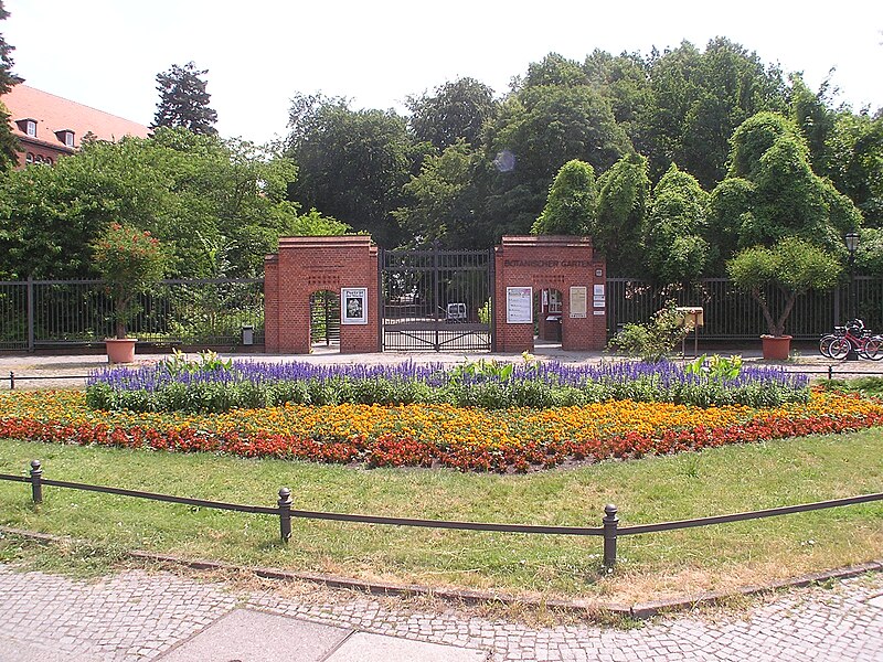 Botanic Garden and Botanical Museum Berlin