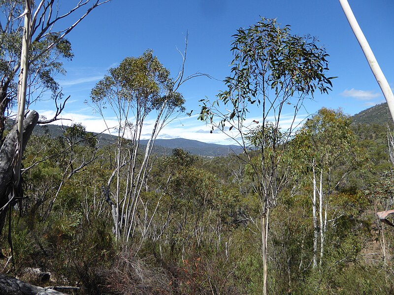 Namadgi National Park