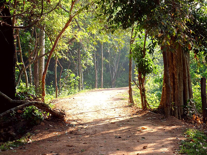 Angkor