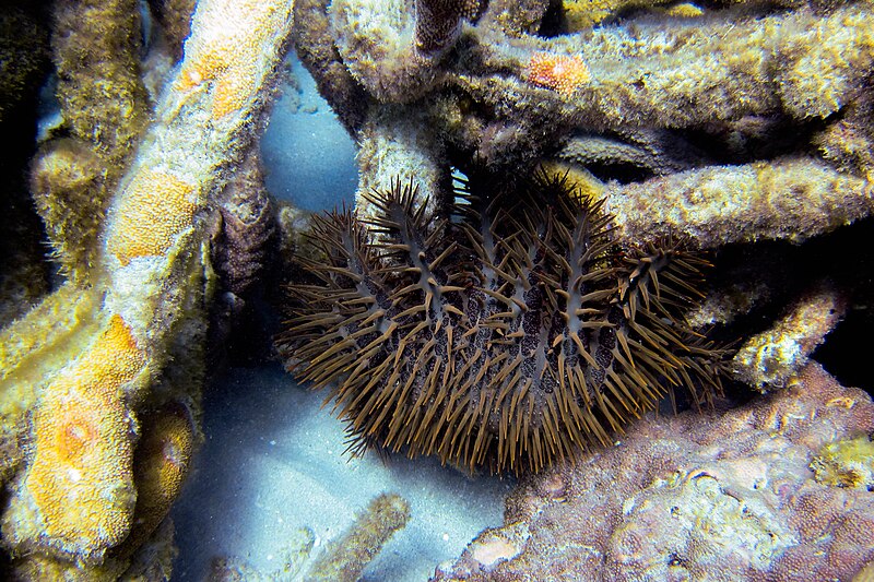 Lizard Island National Park