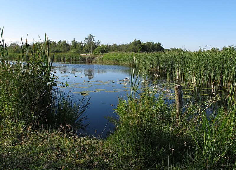 De Alde Feanen National Park