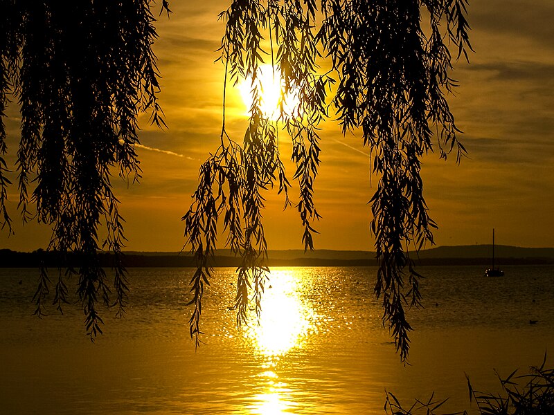 Steinhuder Meer
