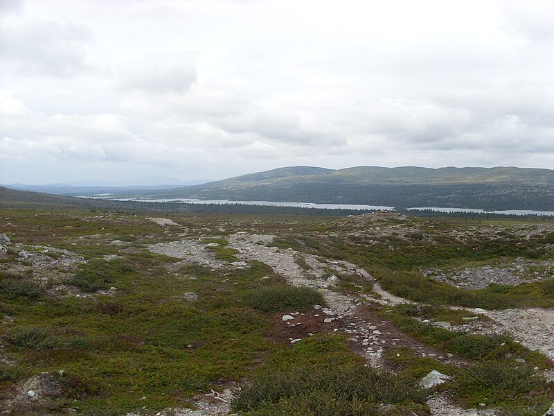 Töfsingdalen National Park