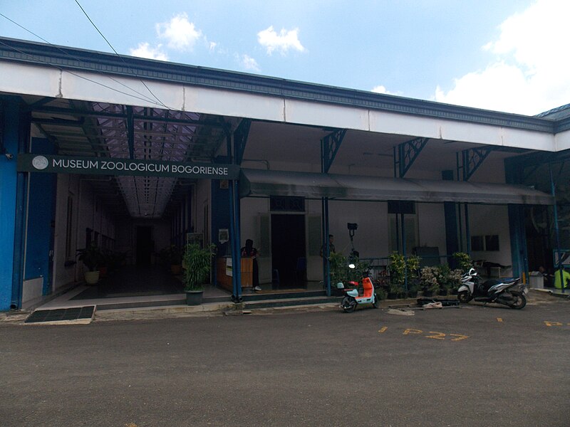 Bogor Zoology Museum