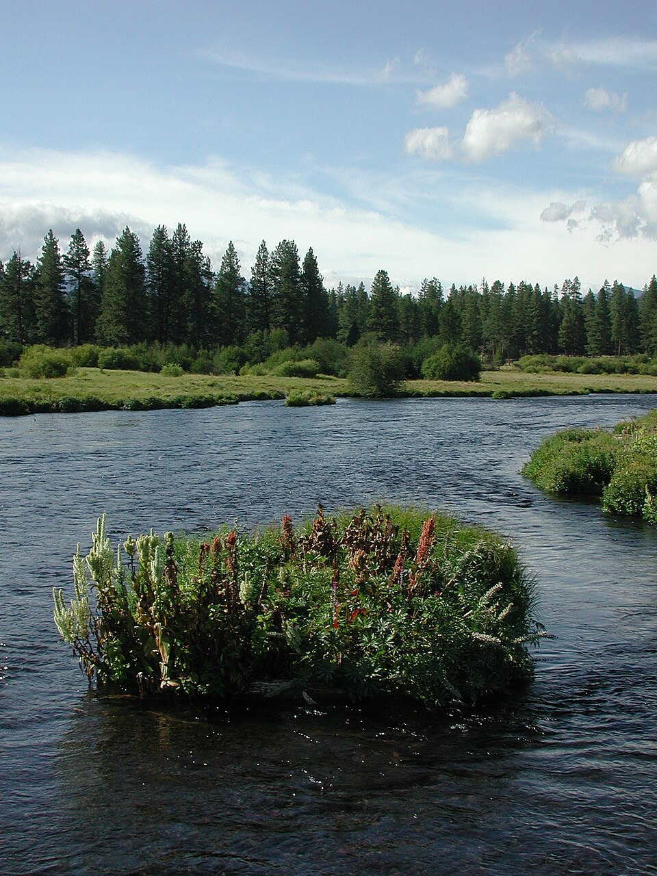 Metolius River