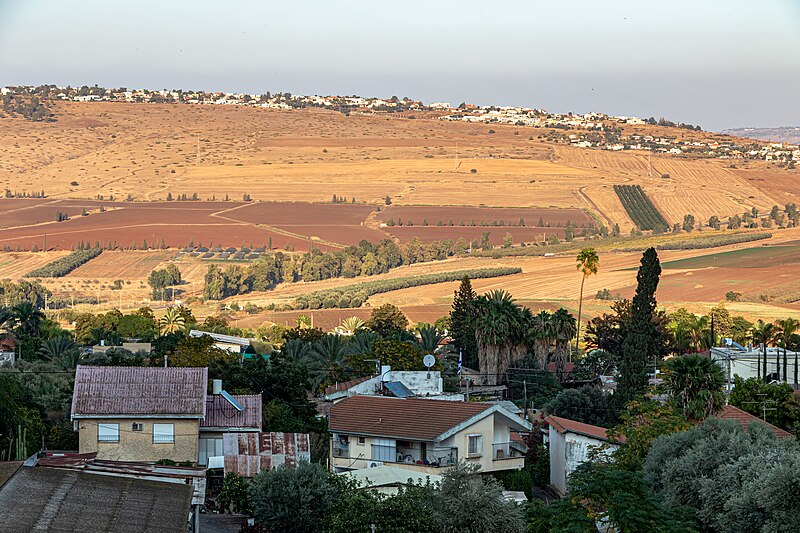 Yavne'el