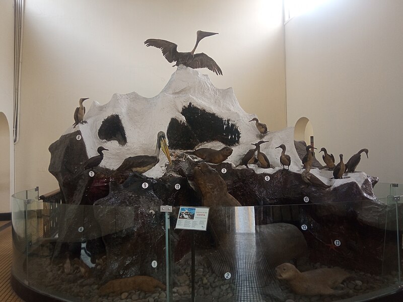 Museum of Natural History, Lima