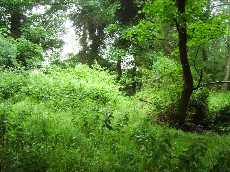 John F. Kennedy Arboretum
