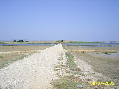 Koukonesi