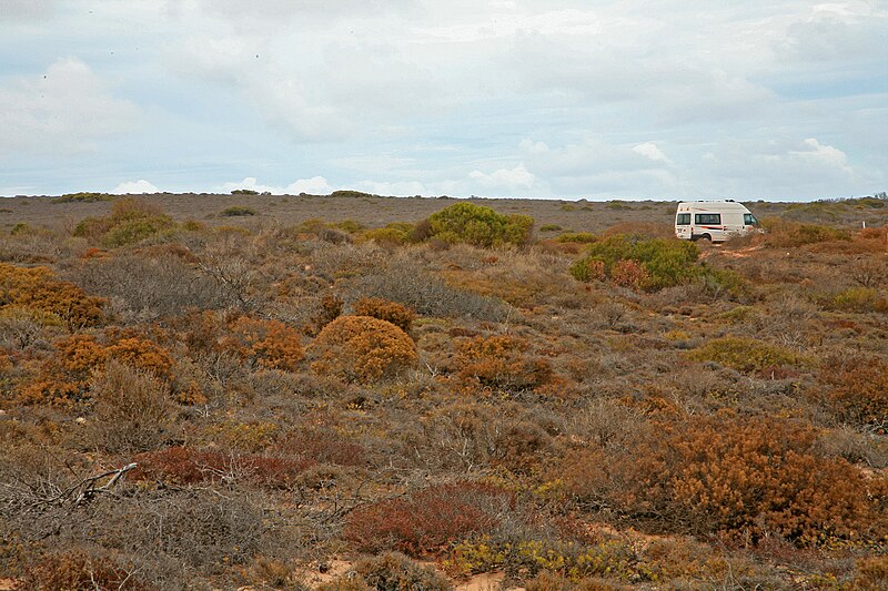 Kalbarri National Park