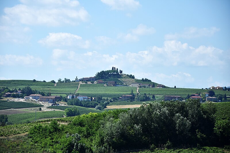 The Vineyard Landscape of Piedmont: Langhe-Roero and Monferrato