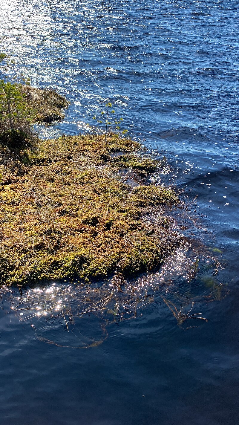 Kauhaneva–Pohjankangas National Park