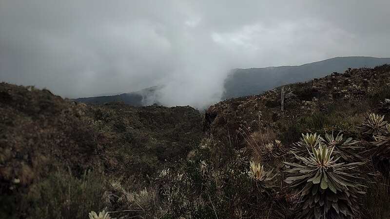 Sumapaz Natural Park