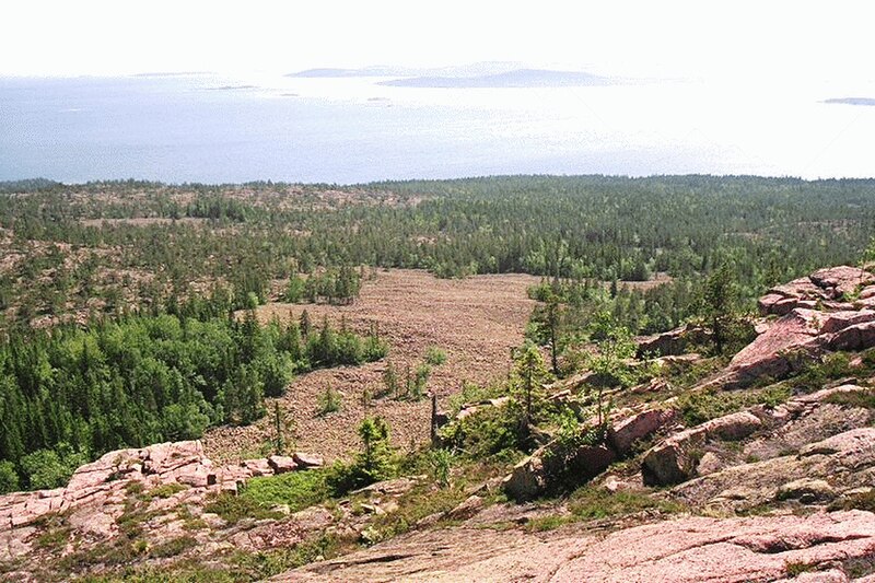 Skuleskogen National Park