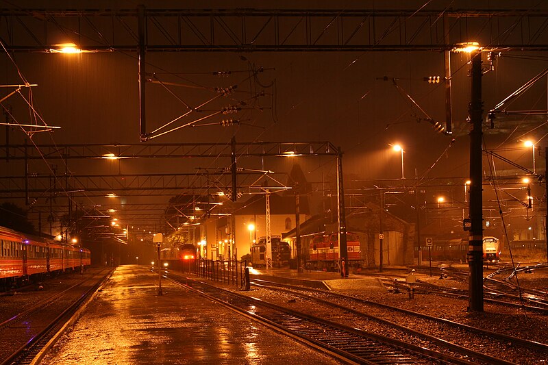 Halden station