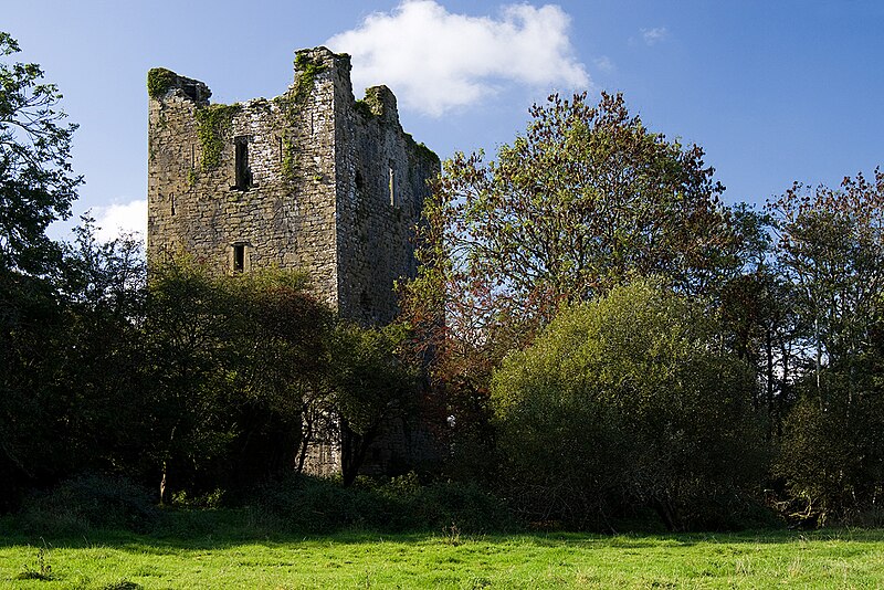 Kilcrea Castle