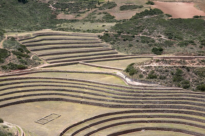 Moray