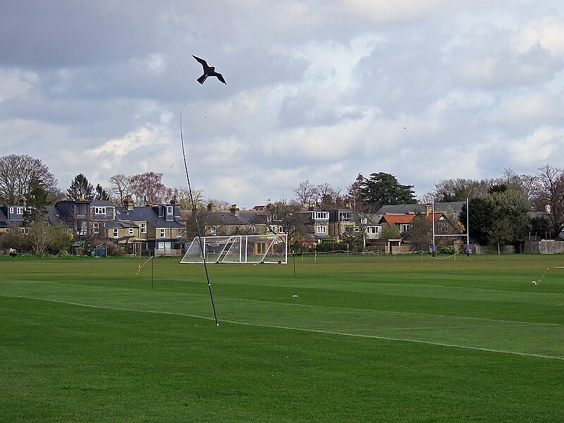 Downing College