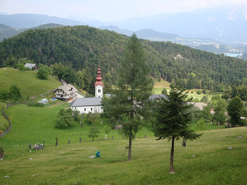 Kupljenik