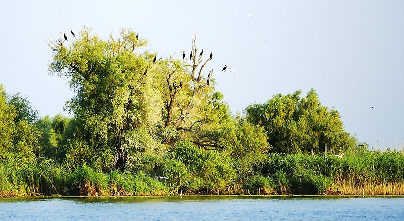 Danube Delta