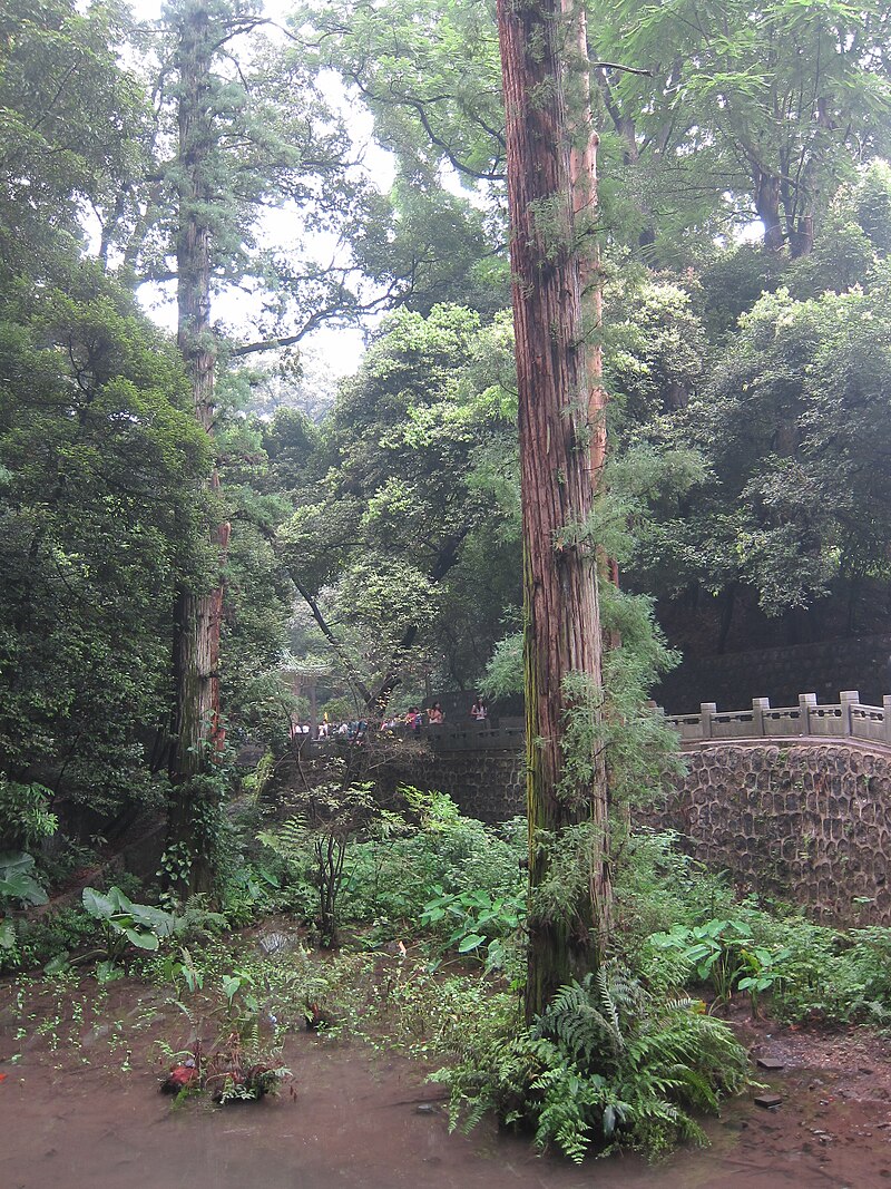 Nanhua Temple