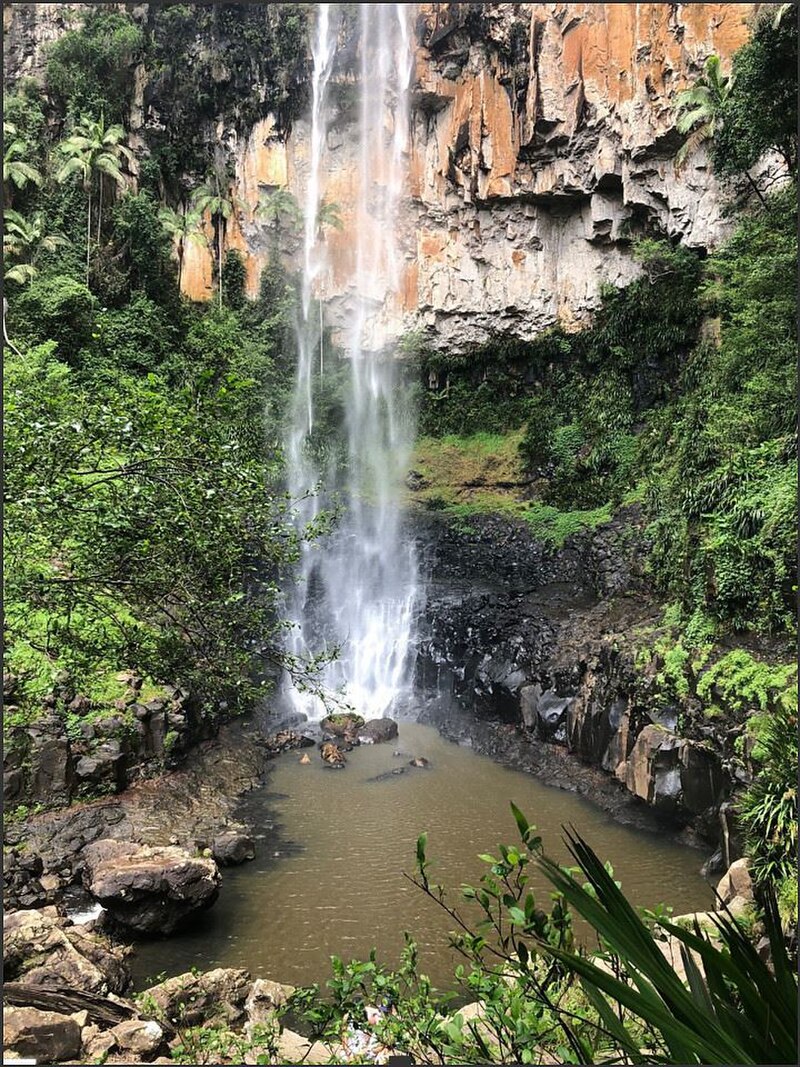 Springbrook National Park