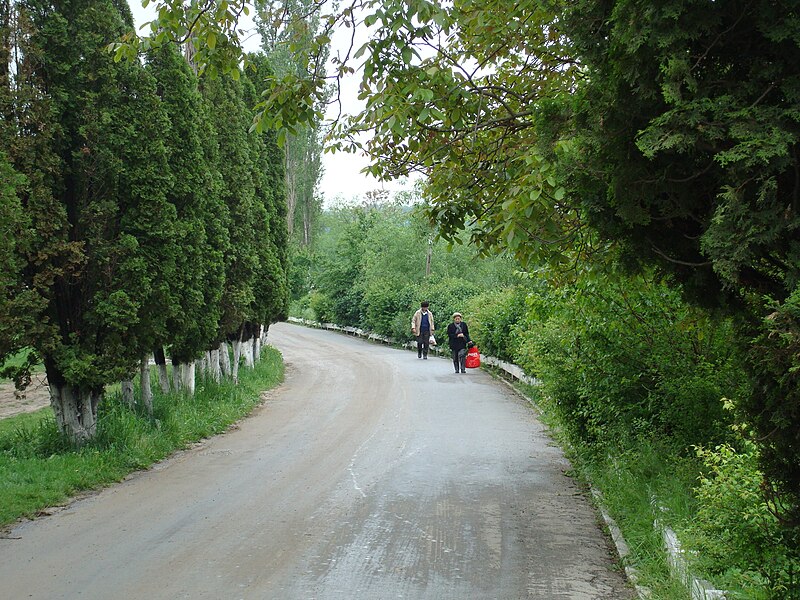 Cernica monastery