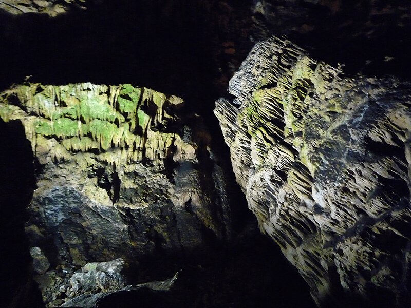 Magura Cave