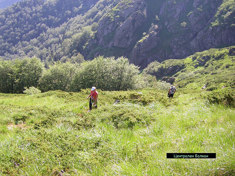 Central Balkan National Park
