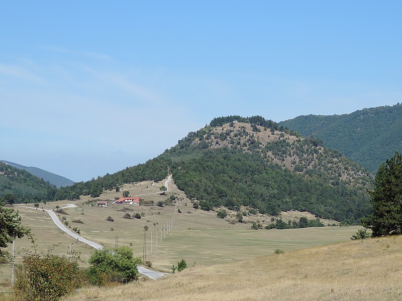 Tsepina