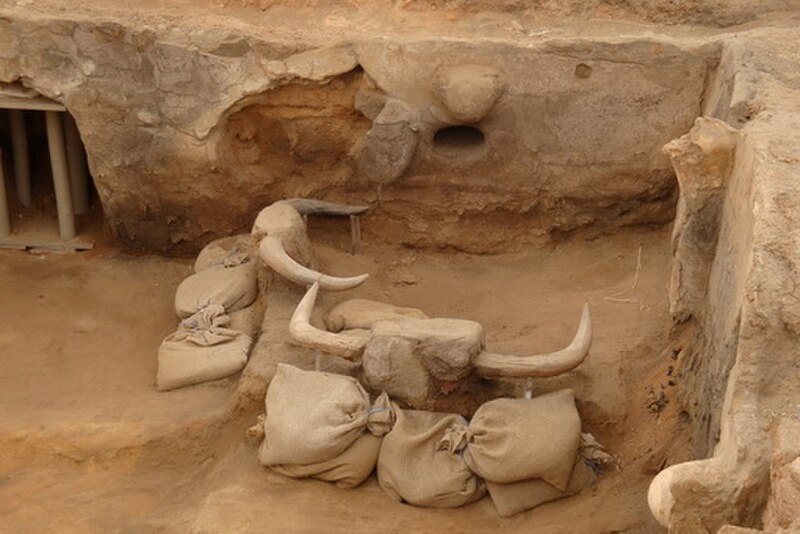 Çatalhöyük