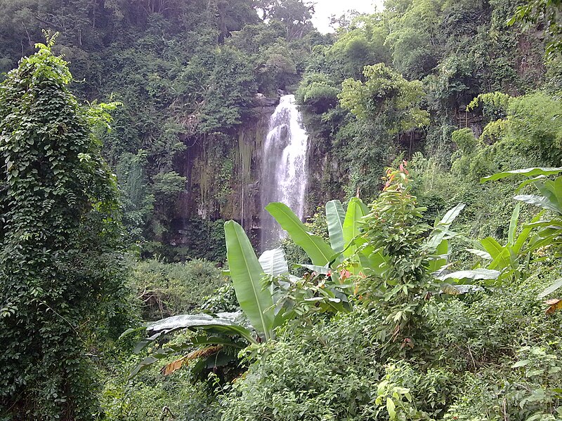 Kirirom National Park