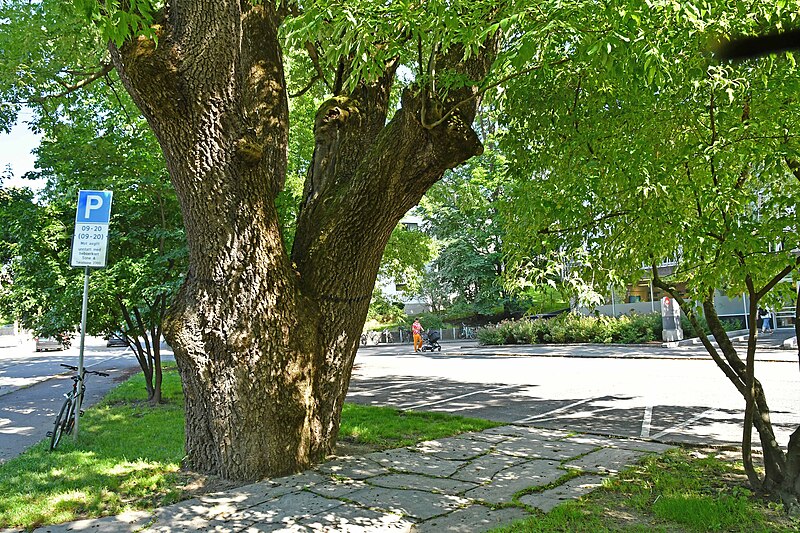 Skillebekkparken