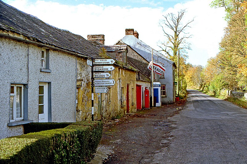Monasteranenagh Abbey