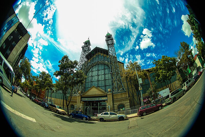 Museo Universitario del Chopo