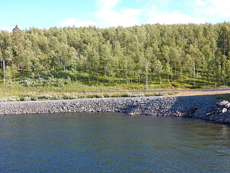 Møsvatn