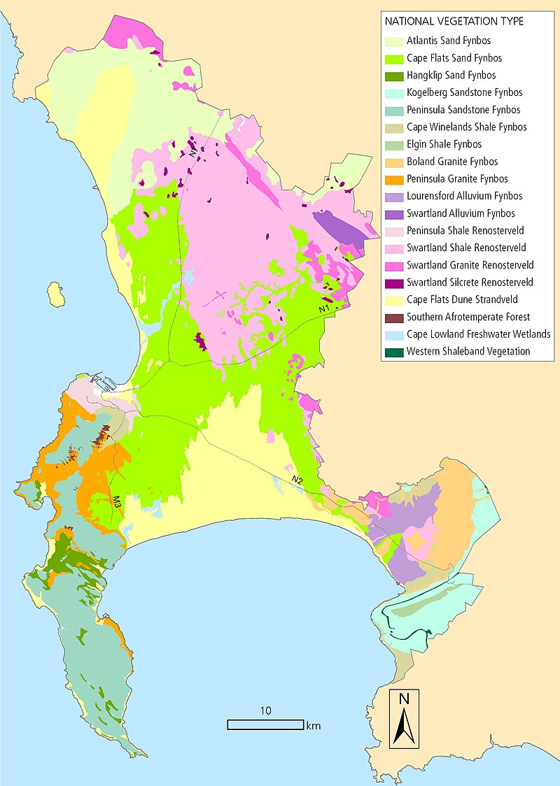 Cape Floristic Kingdom