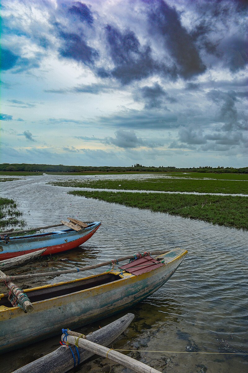 Bundala National Park